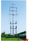 Ip65 Communication Towers wireless communication towers Years Warranty from china factory